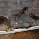 Illustration for article titled My $500 Postal Jeeps Rusted-Out Frame Will Give You Nightmares